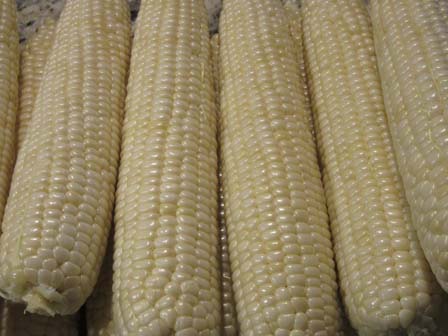 Corn 5
